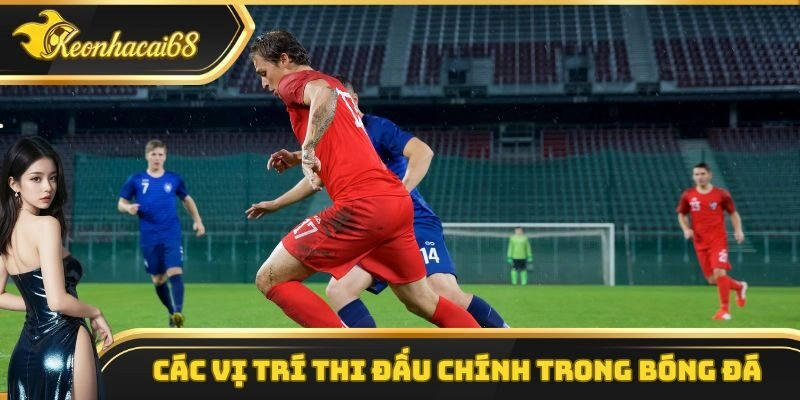 Các vị trí thi đấu chính trong bóng đá