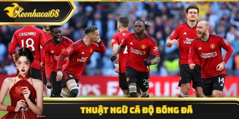 Thuật Ngữ Cá Độ Bóng Đá – Tổng Hợp Những Khái Niệm Phổ Biến