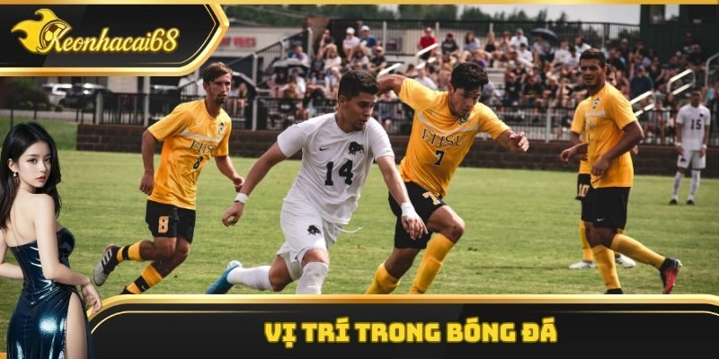 Vị trí trong bóng đá