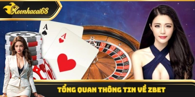 Một vài thông tin cơ bản cần nắm được về đơn vị Zbet